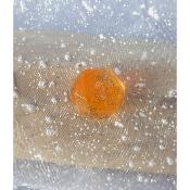 aimant orange- transparent